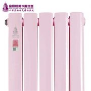 暖氣片廠家：家庭用是電的還是水的?