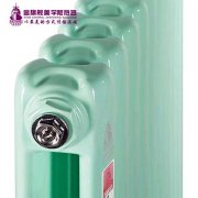 暗裝鋼制暖氣片采暖系統(tǒng)的供暖管道