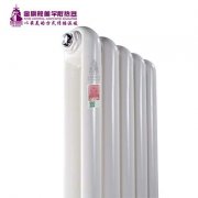 鋼制暖氣片將成為采暖主流