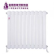 房間鋼制柱型暖氣片裝修效果圖,請欣賞