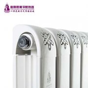 浴室采暖用暖氣片行還是取暖器行?