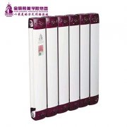 暖氣片品牌液壓循環(huán)方式
