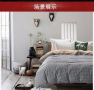 暖通暖氣片十大品牌與專業(yè)動力采暖學(xué)